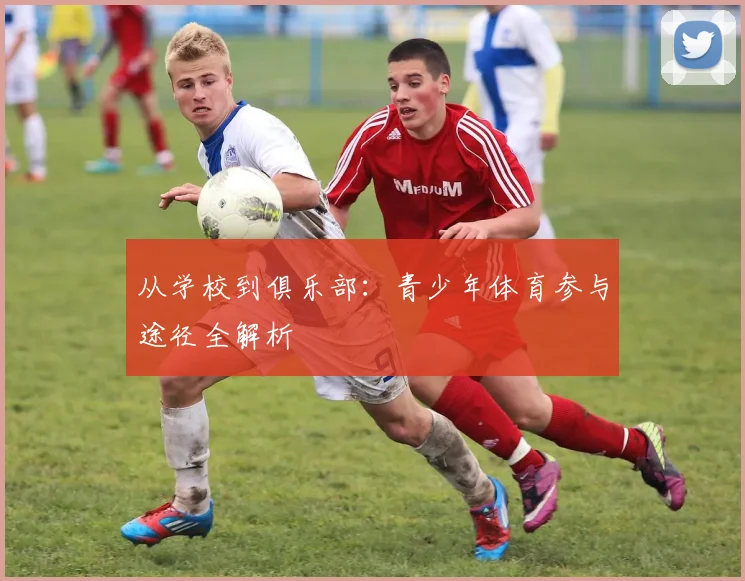 从学校到俱乐部：青少年体育参与途径全解析