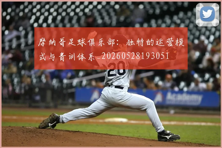 摩纳哥足球俱乐部:独特的运营模式与青训体系_20260528193051
